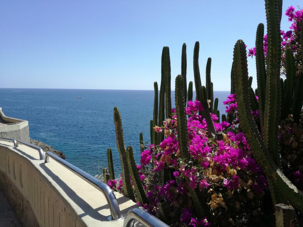 Apartment 3 Minutes From Puerto Rico Beach Mogan Ngoại thất bức ảnh